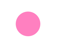 pink + rose