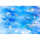 BMS Babybuddy Softskin marine