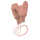 Disana Walk Handschuhe Vorsaison Schurwolle kbT
