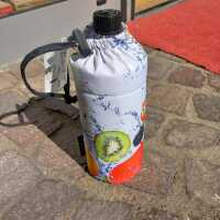 Emil die Flasche Fruits  0,6l Sonderdesign