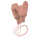 Disana Kinder Walkhandschuhe Schurwolle kbT GOTS