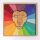 Grimms Bauspiel Regenbogenlöwe 10208