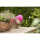 Pickapooh Gr.58 Schlupper 70% Wolle/30% Seide fuchsia