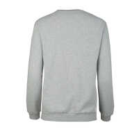 Frugi Schwangerschafts Sweatshirt Grey Marl/Star_AW20