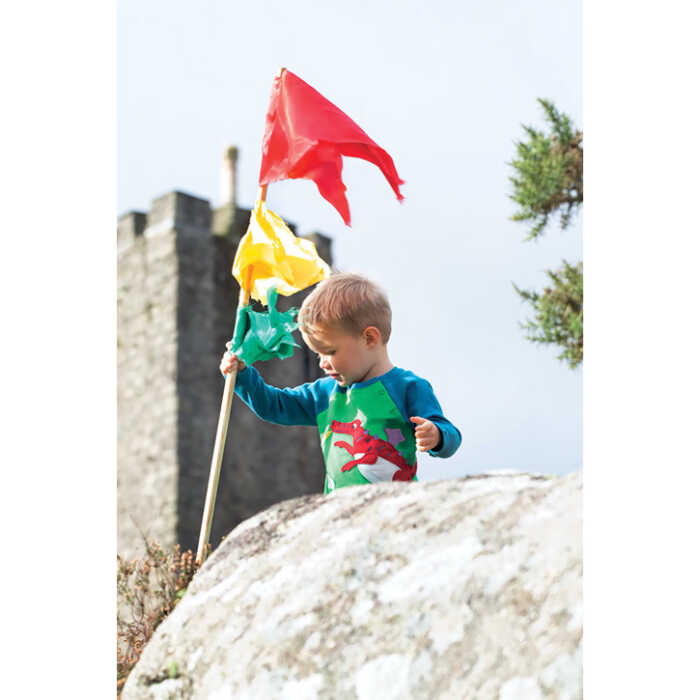 Frugi Tierisches Sweatshirt Glen Green/Dragon_AW20