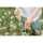 Grapat 12 Nins® Wizards Magos 10m+