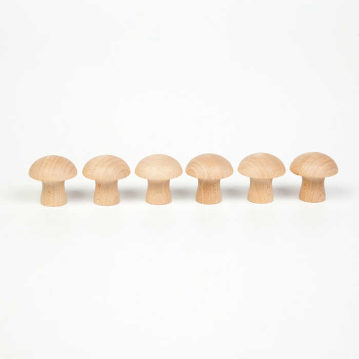Grapat Mashroom  x 6 (divisible pack) 10m+