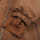 Freds World Outerwear jacket baby Funktionsjacke 98 Almond PES/100
