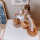 Chimpytoys Kinder Stapelturm 6 Stk. Holz