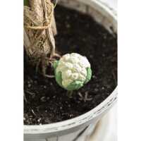 Oli&Carol Cauliflower Rattle Toy Baby Rassel