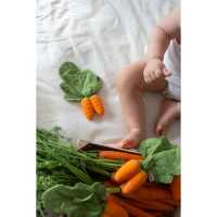 Oli&Carol Cathy the Carrot Mini Doudou-Teether Baby Greifling