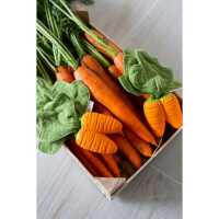 Oli&Carol Cathy the Carrot Mini Doudou-Teether Baby Greifling