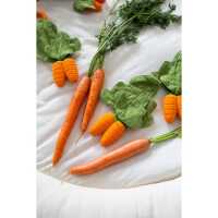 Oli&Carol Cathy the Carrot Mini Doudou-Teether Baby Greifling