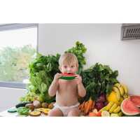 Oli&Carol Wally the Watermelon Baby Greifling