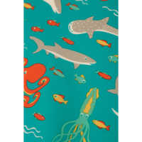 Frugi Rain Or Shine Suit Regenoverall