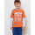 Kite Dino Dig Shirt Braun