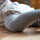 GoBabyGo 74/80 Grey Melange Krabbelstrumpfhose aus Baumwolle