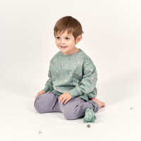Sense Organics DARI Sweater Dino sage