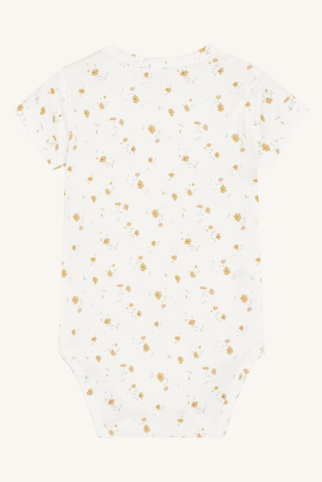 bambus footies 5 Pairs of Bamboo Footies | Ladies