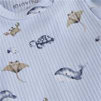 Minymo Body kurzarm Rib skyway