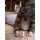 Grapat Hallo Herbst Limited Edition 3+ Holz