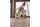 Grapat Hop und Peep Osterdeko ab 36 Monate